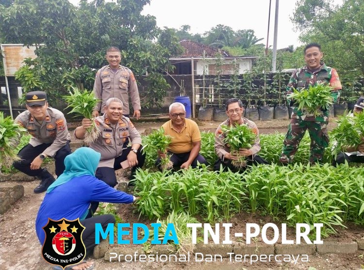 Dit Binmas Polda Lampung Asistensi Program Pekarangan Bergizi di Terbanggi Besar