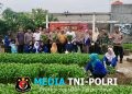 Dit Binmas Polda Lampung Asistensi Program Pekarangan Bergizi di Terbanggi Besar