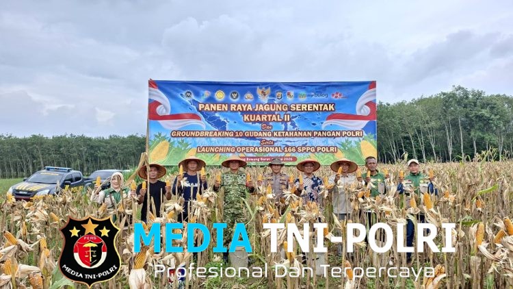 Panen Raya Jagung Serentak Kuartal II di Tumijajar, Polres Tulang Bawang Barat Dukung Ketahanan Pangan Nasional