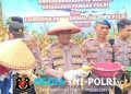 Pemkab dan DPRD Tanggamus Apresiasi Panen Jagung Polres di Ulu Belu, Hasil Capai 9 Ton per Hektare