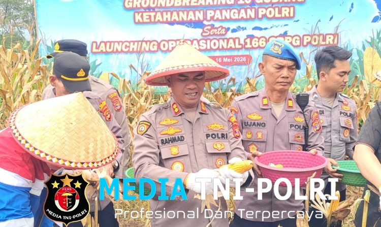 Pemkab dan DPRD Tanggamus Apresiasi Panen Jagung Polres di Ulu Belu, Hasil Capai 9 Ton per Hektare