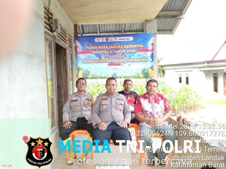 Kapolsek Sengah Temila Pimpin Panen Raya Jagung Serentak Kuartal II Tahun 2026