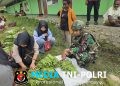Pendampingan Mendukung Program BGN, Satgas Yonif 521/DY Turut Hadir Bantu Mendongkrak Perekonomian Warga di Distrik Walesi