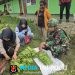 Pendampingan Mendukung Program BGN, Satgas Yonif 521/DY Turut Hadir Bantu Mendongkrak Perekonomian Warga di Distrik Walesi