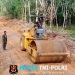 TMMD Ke-128 Kodim 0402/OKI, Progres Pembangunan Jalan di Desa Pematang Sukatani Hampir Rampung 100 Persen