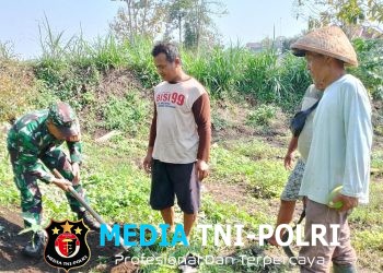 Tanam Pohon Mahoni Babinsa Sananwetan Bersama Poktan Rahayu, Cegah Erosi Dan Dukung Ketahanan Pangan