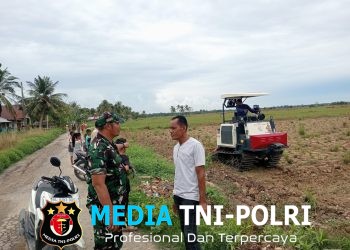 Dukung Ketahanan Pangan, Babinsa Kodim 0103/Aut Motivasi Warga Baktiya Optimalkan Lahan