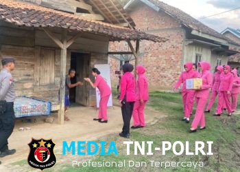 Wujud Kepedulian, Ketua Bhayangkari Polres Mesuji Salurkan Sembako untuk Lansia di Desa Budi Aji