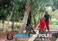 Babinsa 420/08 Tabir Pererat Silaturahmi Lewat Gotong Royong di Desa Pulau Aro