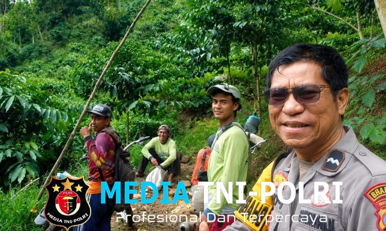Dekat dengan Petani Kopi, Sosok Bhabinkamtibmas “Pak Manurung” Jadi Polisi Sahabat Warga Ulu Belu Tanggamus