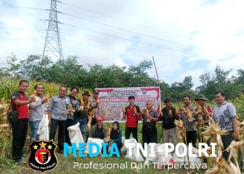Panen Perdana Jagung di Tebedak Capai 6 Ton, Polisi dan Warga Bersatu Dukung Ketahanan Pangan