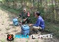 Babinsa Kandangan Dampingi Petani Lakukan Penyemprotan POC Untuk Tingkatkan Pertumbuhan Jagung
