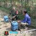 Babinsa Kandangan Dampingi Petani Lakukan Penyemprotan POC Untuk Tingkatkan Pertumbuhan Jagung