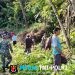 Karya Bhakti TNI dan Warga Teras, Wujud Nyata Kepedulian Lingkungan dan Kebersamaan