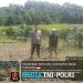Bintara Pengerak Lakukan Pengecekan Jagung Ke Desa Ansang