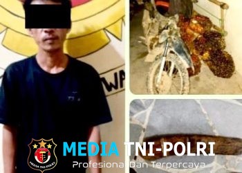 Curi 14 Tandan Sawit Milik PT GMP, Pelaku Diamankan Polsek Seputih Mataram