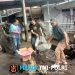 Bentuk Nyata Kepedulian TNI Terhadap Kebersihan Lingkungan, Kodim 1310/Bitung Gelar Karya Bakti Gerakan Indonesia Asri, Bersihkan Selokan dan Taman Median Jalan
