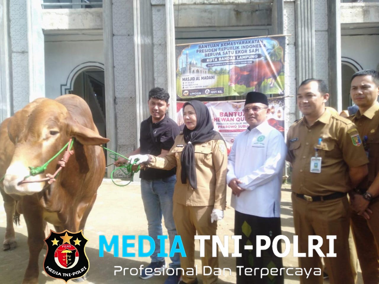 Wali Kota Bandar Lampung Serahkan Sapi Kurban Banmas Presiden RI Ke Masjid Al Madani