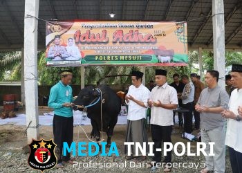 Rayakan Idul Adha 1447 H, Polres Mesuji Sembelih 6 Sapi dan 13 Kambing untuk Berbagi Berkah