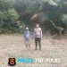 Cek Kondisi Jagung Ke Desa Ansang Kecamatan Menyuke