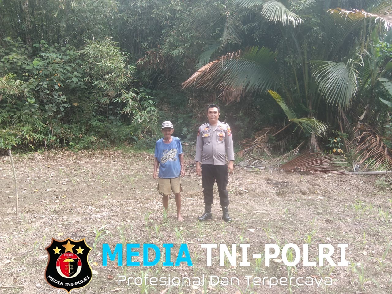 Cek Kondisi Jagung Ke Desa Ansang Kecamatan Menyuke