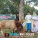 Polres Lampung Timur Gelar Penyembelihan Hewan Kurban, 7 Sapi dan 4 Kambing Disalurkan ke Masyarakat