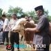 Momentum Idul Adha 1447 H, Polres Lampung Tengah Sembelih 11 Ekor Sapi dan 1 Ekor Kambing Wujud Kepedulian Sosial