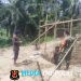 Kodim 0103/Aceh Utara Terus Dorong Pembangunan Jembatan Perintis di Langkahan