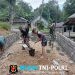 Bantuan Presiden Prabowo Mulai Dirasakan, Rumah Naofaondu Fau di Nias Selatan Direhab Lewat Karya Bakti TNI