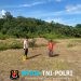 Lahan 1 Hektar Mulai Berkembang, Polsek Meranti Cek Pertumbuhan Jagung NK Pendekar Sakti