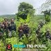 Melalui Patroli Keamanan Gabungan, Satgas Swasembada Yonif 643/Wns Koops TNI Habema Berhasil Temukan Ladang Ganja