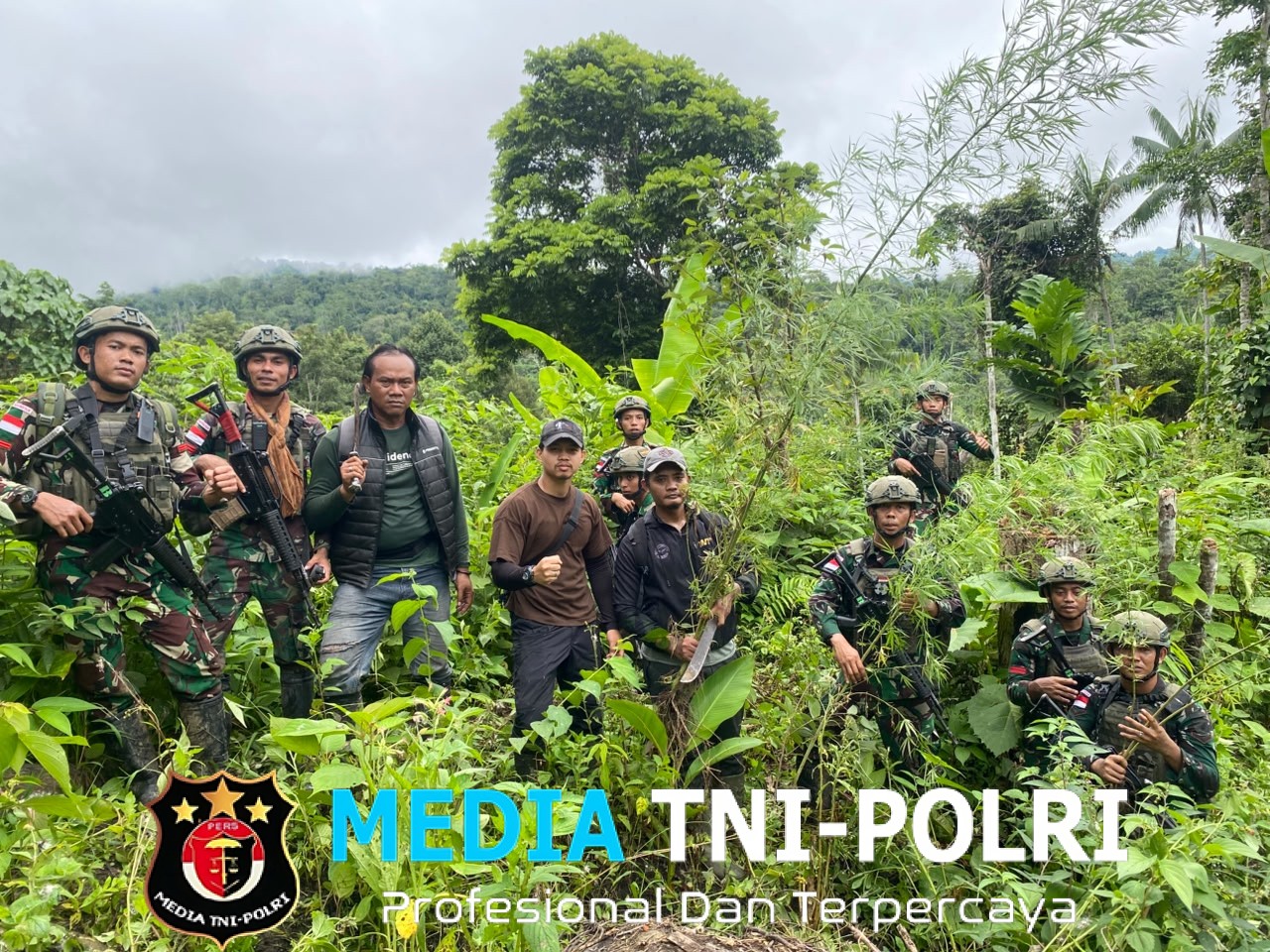 Melalui Patroli Keamanan Gabungan, Satgas Swasembada Yonif 643/Wns Koops TNI Habema Berhasil Temukan Ladang Ganja
