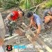 Karya Bakti TNI di Tugala Oyo Nias Utara, Jembatan Modular Bantuan Presiden Mulai Menampakkan Hasil