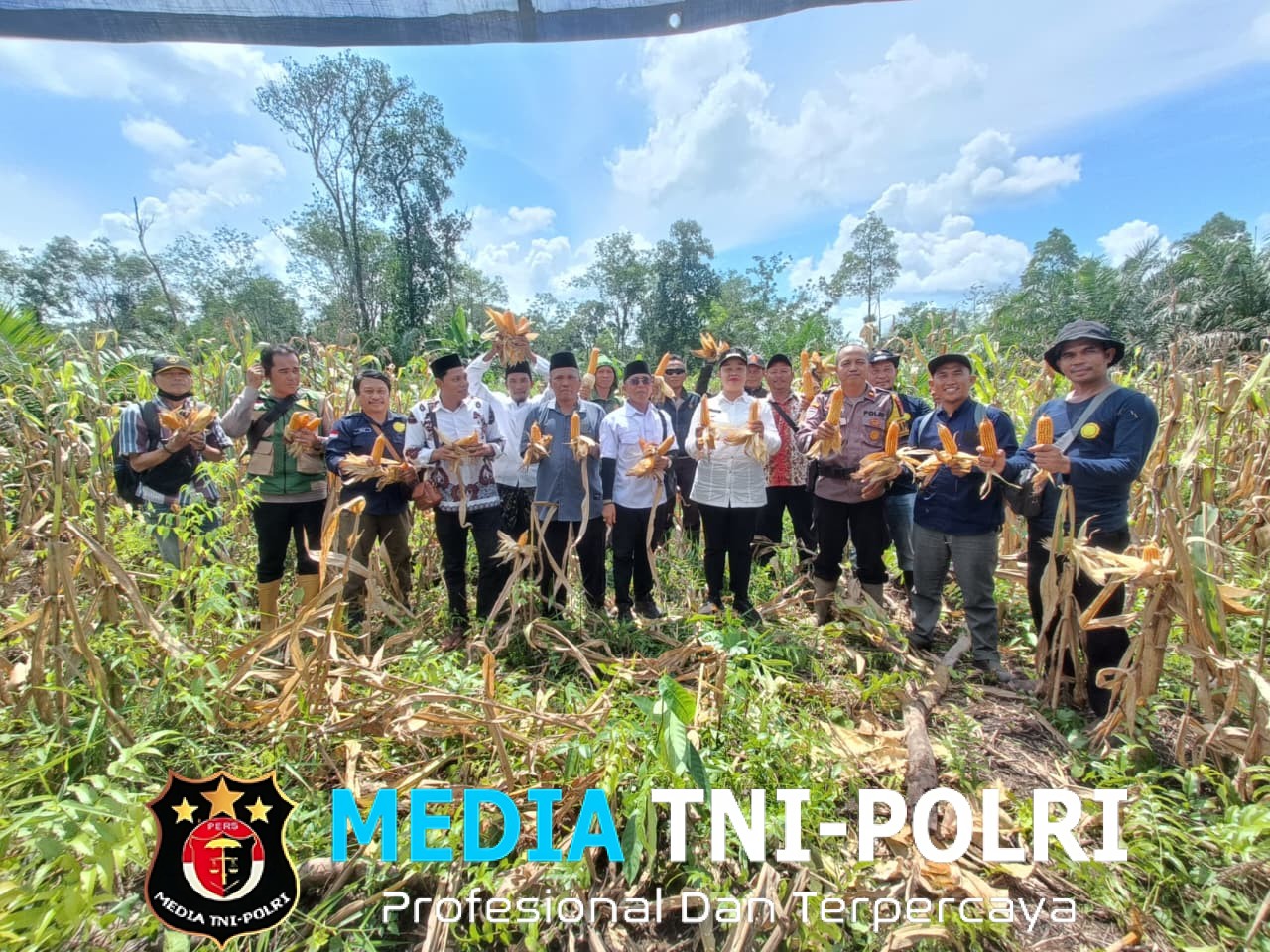 Panen Perdana Jagung di Sungai Segak Berhasil, Kapolsek Sebangki Ini Bukti Kekuatan Sinergi Membangun Ketahanan Pangan