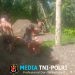 Jembatan Perintis Cot Bada Mulai Terbentuk, Harapan Warga Kian Nyata