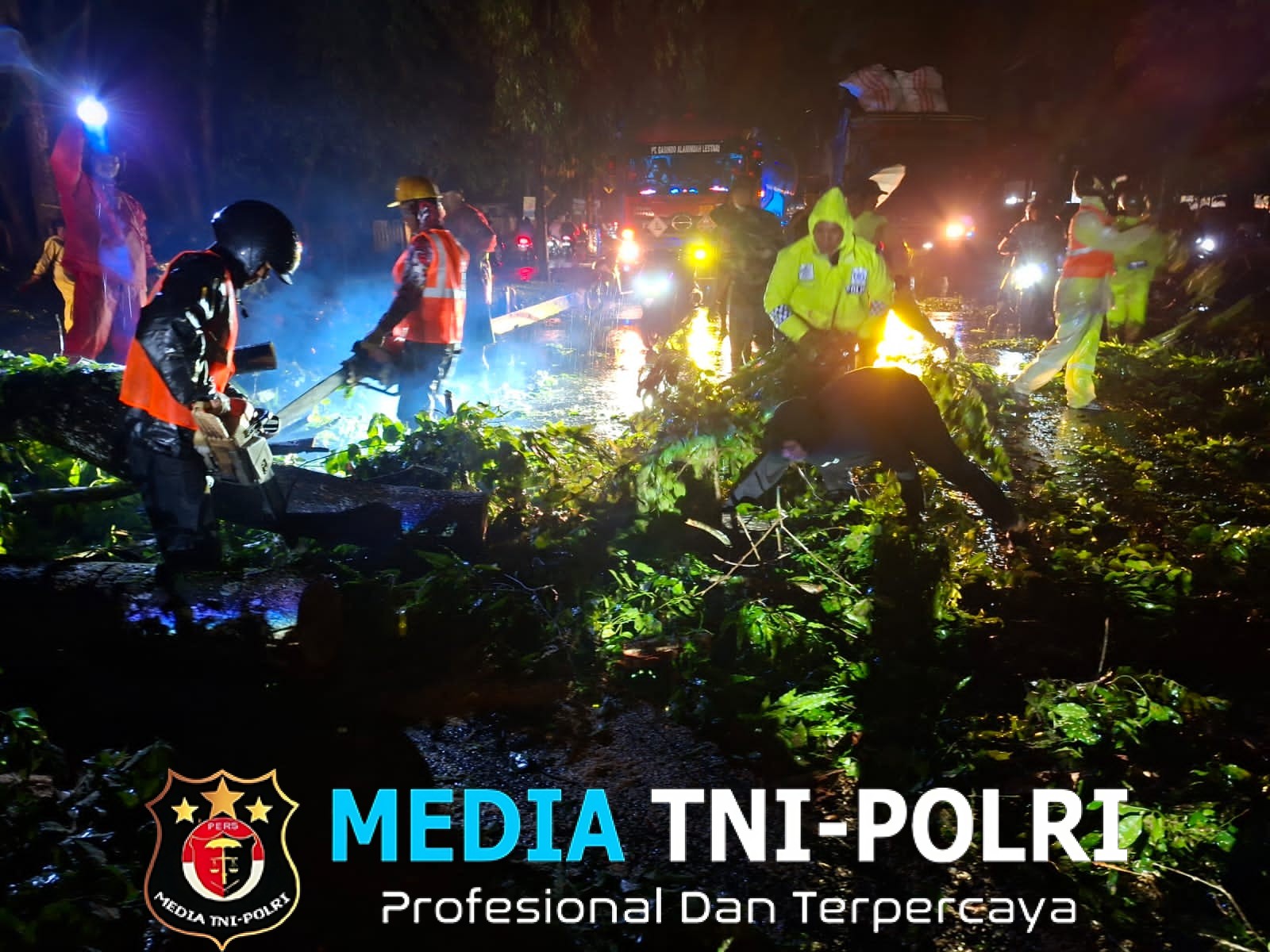 Polres Langkat Gerak Cepat Evakuasi Pohon Tumbang dan Urai Kemacetan Arus Lalu Lintas
