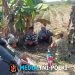Cerita dari Pematang Sawah Babinsa Hadir, Petani Padi Semakin Optimis