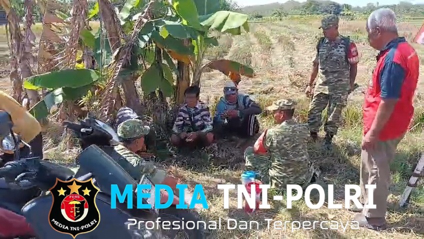 Cerita dari Pematang Sawah Babinsa Hadir, Petani Padi Semakin Optimis