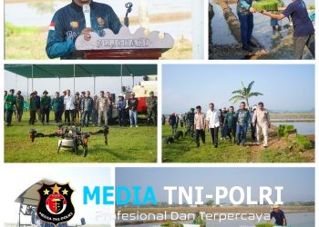 Bupati Pringsewu Riyanto Pamungkas Tanam Perdana Lahan Corporate Farming di Pekon Pujodadi