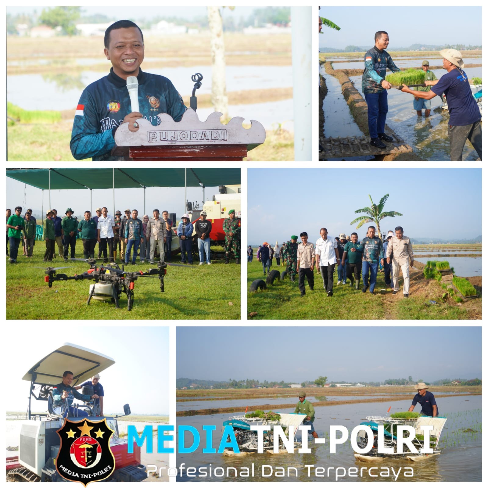 Bupati Pringsewu Riyanto Pamungkas Tanam Perdana Lahan Corporate Farming di Pekon Pujodadi