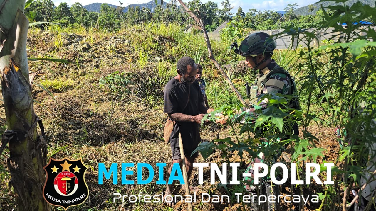 Perkuat Ketahanan Pangan Papua, Satgas Yonif 521/DY Bagikan Bibit Gratis dan Bantu Warga Berkebun di Kampung Benawa