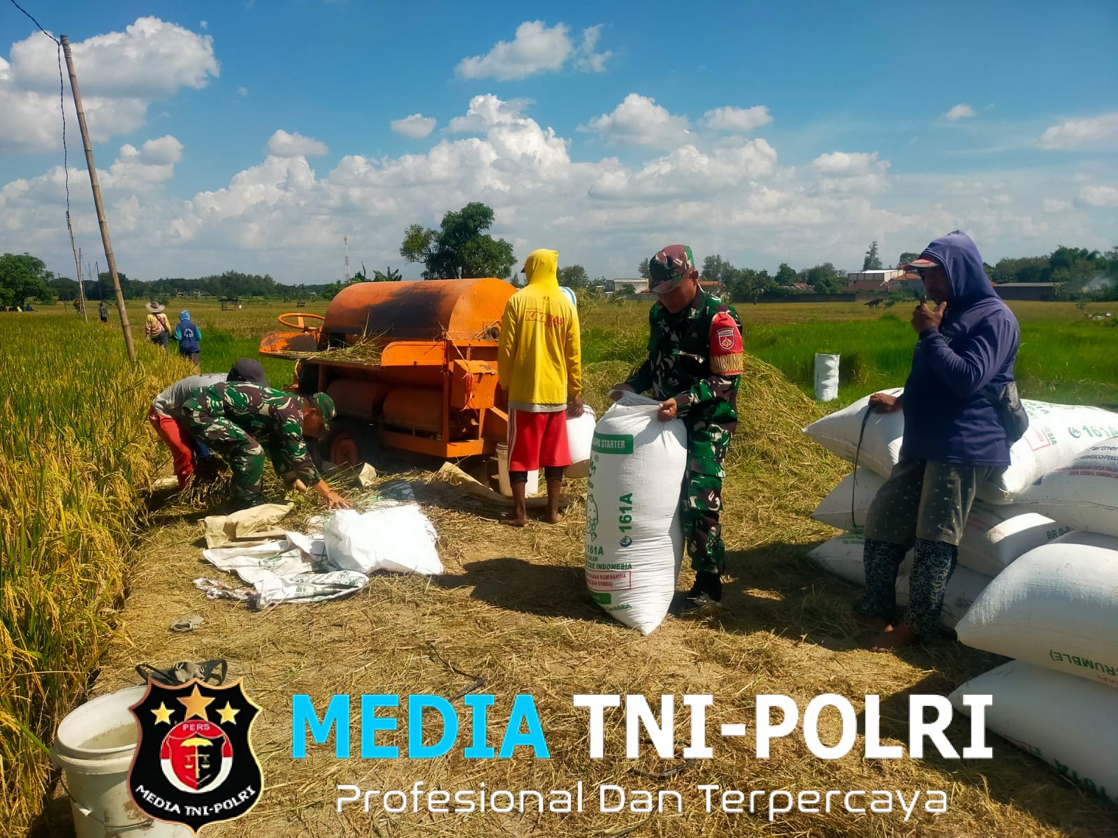 Lumpur dan Jerami Bukan Penghalang, Pelda Jumarno Buktikan Kedekatan TNI dengan Petani di Tengah Panen Padi