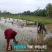 Saat Petani Mulai Menanam, Babinsa Hadir Turun ke Sawah