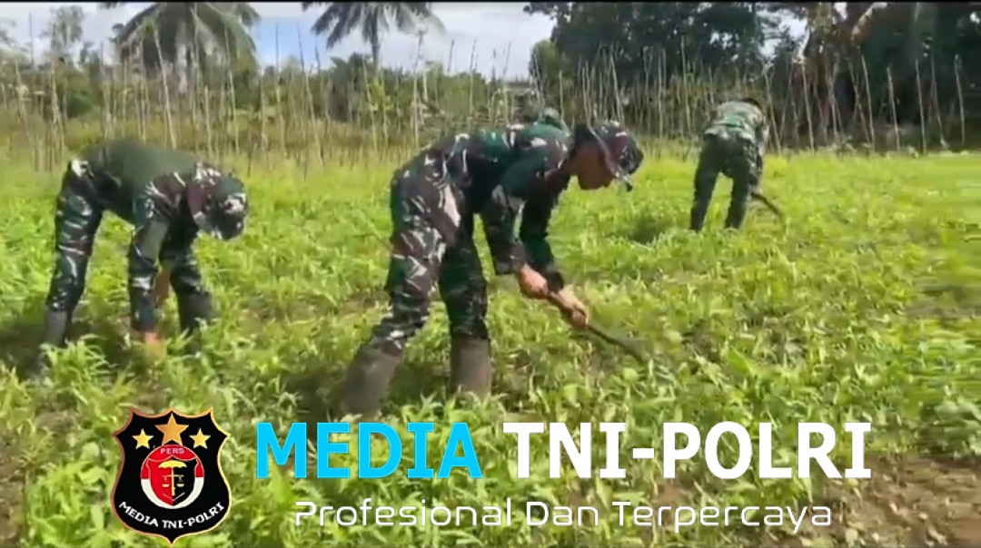 Satgas Yonif 123/Rajawali Wujudkan Ketahanan Pangan di Pedalaman Papua Selatan