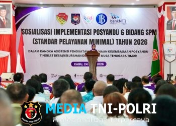 Ketum TP Posyandu Posyandu Kini Jadi Pusat Pelayanan 6 Bidang SPM di Desa