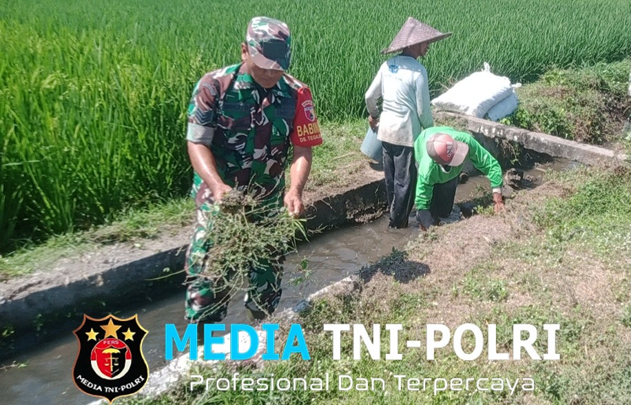 Sinergi Upsus Ketahanan Pangan, Serma Aminoto Bersama Poktan Margo Rukun Bersihkan Saluran Irigasi
