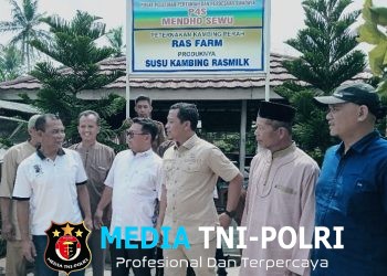 Bupati Pringsewu Riyanto Pamungkas Kunjungi Kelompok Peternak Kambing Perah