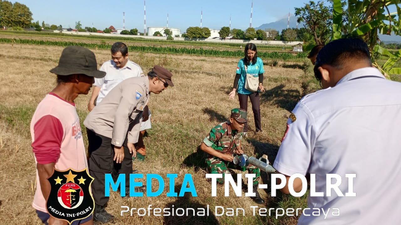 Lawan Hama Tikus, Babinsa Bersama Petani Kompak Gelar Gerdal Serentak