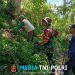 Cegah Karhutla, Babinsa dan Tim Gabungan Sisir Titik Rawan di Lereng Merapi