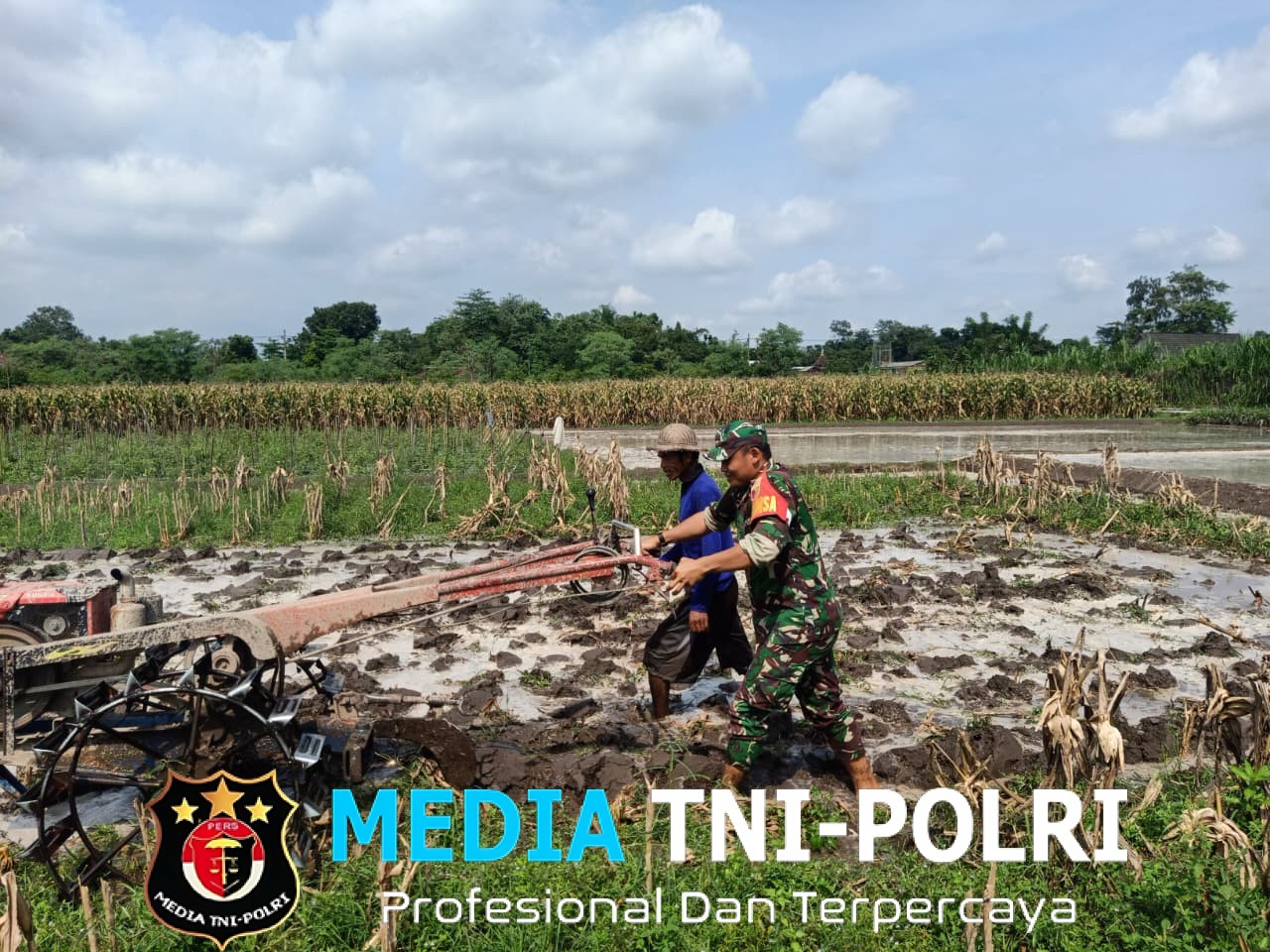 Perrcepat Masa Tanam, Babinsa Sumberingin Kopda Nizar Dampingi Petani Membajak Sawah